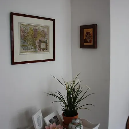 City Centre Walstraat 91 Apartment Arnhem